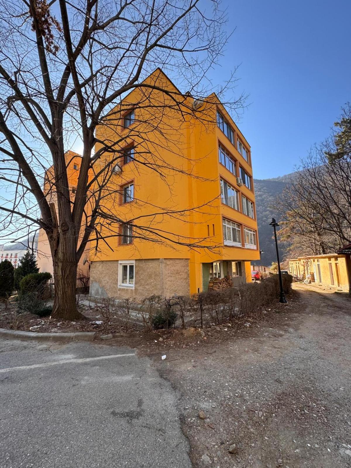 Linen Tree Apartment Băile Herculane Εξωτερικό φωτογραφία
